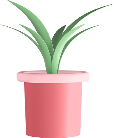 Potted Plant 3D Illustration