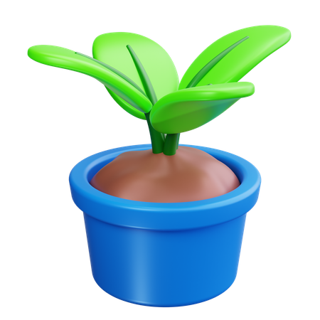 Potted Plant  3D Icon