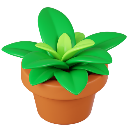 Potted Plant  3D Icon