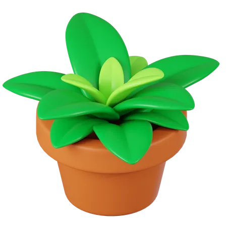 Potted Plant  3D Icon