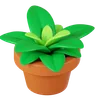 Potted Plant