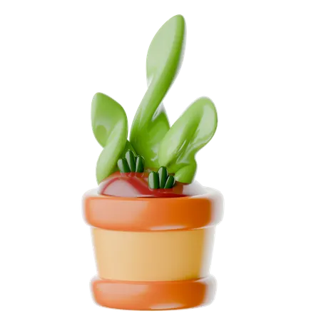Potted Plant  3D Icon
