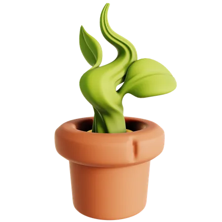 Potted Plant  3D Icon