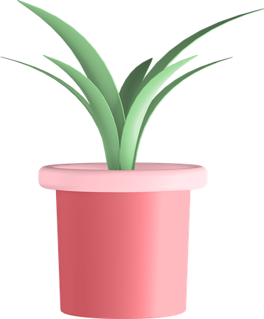 Potted Plant  3D Illustration