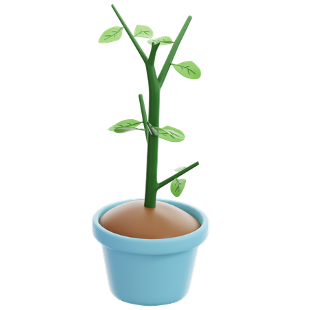 Potted plants  3D Icon