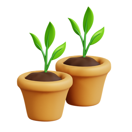 Potted Plants 3D Icon