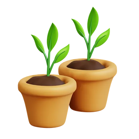 Potted Plants 3D Icon