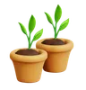 Potted Plants