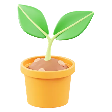 Potted Seeds  3D Icon
