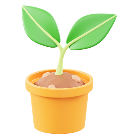 Potted Seeds  3D Icon