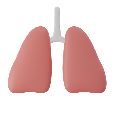 Poumon humain  3D Icon