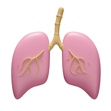 Poumons  3D Icon