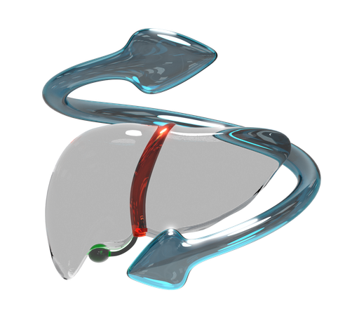 Poumons  3D Icon