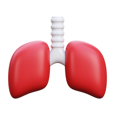 Poumons  3D Icon