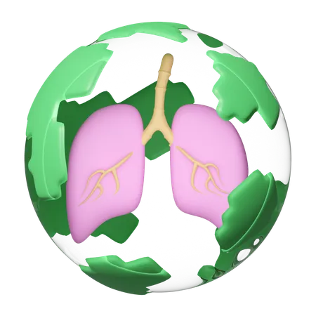 Poumons globaux transparents  3D Icon