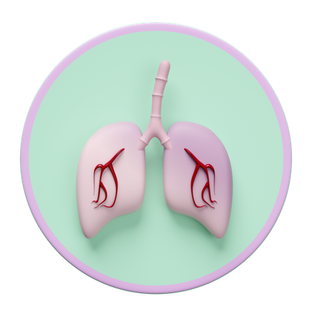 Poumons humains  3D Icon