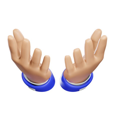 Pray Hand  3D Icon