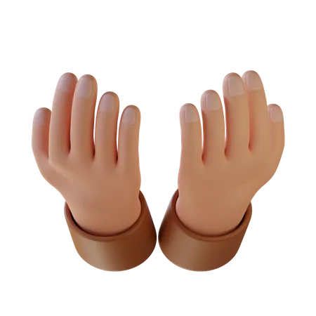 Prayer Hand  3D Icon