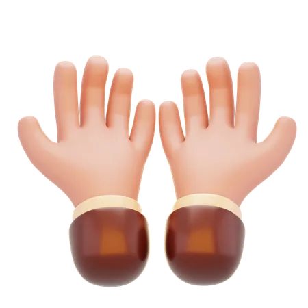 Prayer Hands  3D Icon