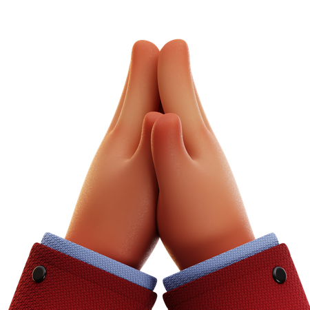 Praying Hand  3D Icon