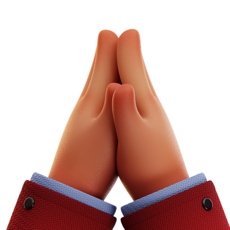 Praying Hand  3D Icon