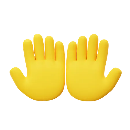 Praying Hand  3D Icon