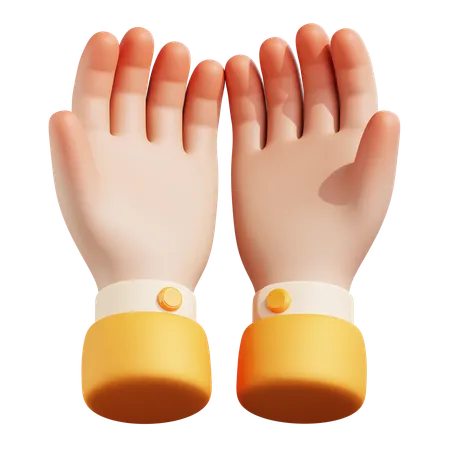 Praying Hand  3D Icon