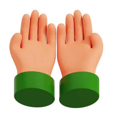 Praying Hand  3D Icon