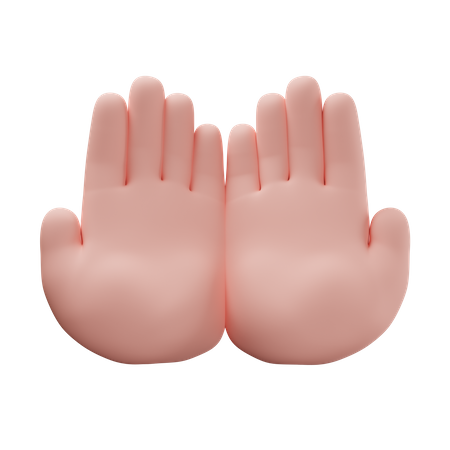 Praying Hand  3D Icon