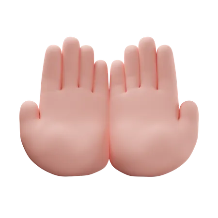 Praying Hand  3D Icon