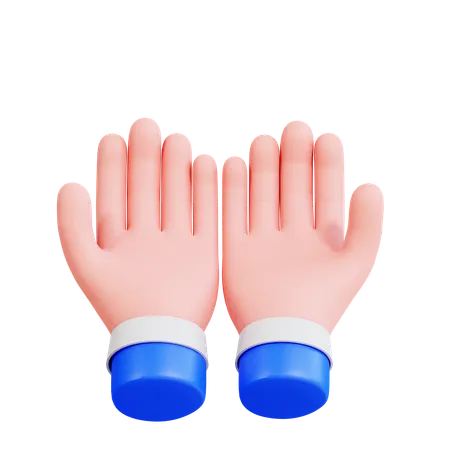 Praying Hand  3D Icon