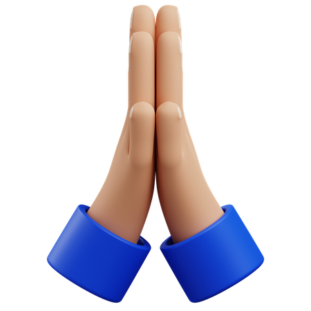 Praying hand gesture  3D Icon