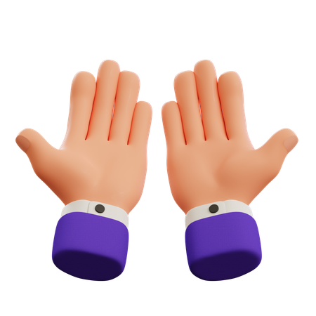 Praying hand gesture  3D Icon