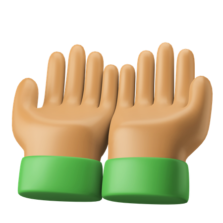 Praying Hands  3D Icon