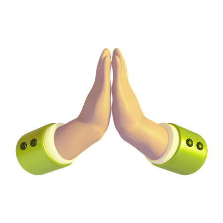 Praying Hands  3D Icon