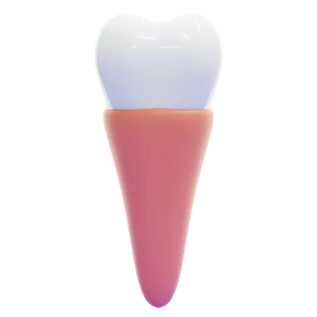 Pré-molar  3D Icon