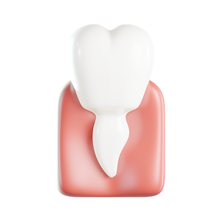 Pré-molar  3D Icon