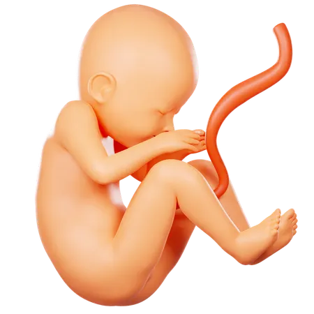 Pregnancy  3D Icon