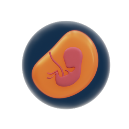 Pregnancy  3D Icon