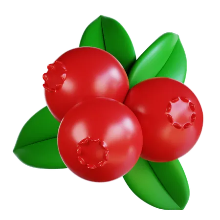 Preiselbeeren  3D Icon