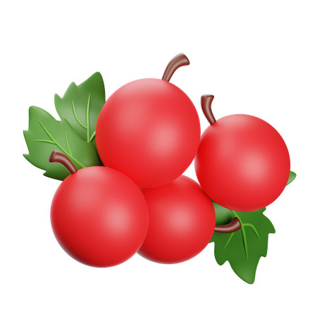 Preiselbeeren  3D Icon