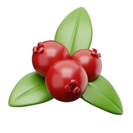 Preiselbeeren  3D Icon