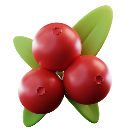 Preiselbeeren  3D Icon