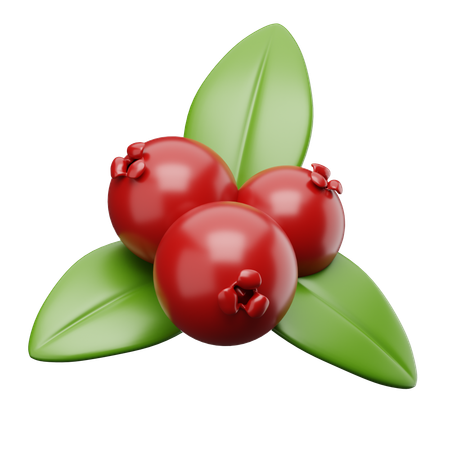 Preiselbeeren  3D Icon