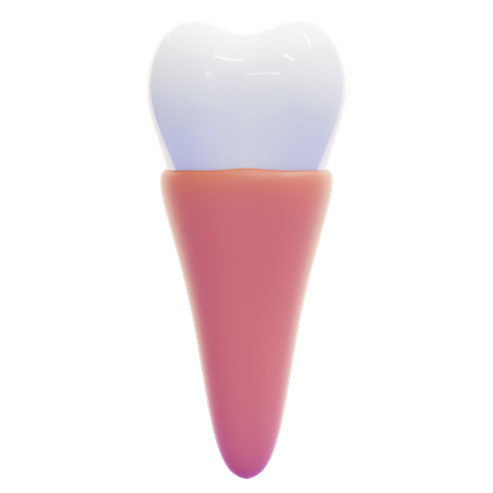 PREMOLAR  3D Icon