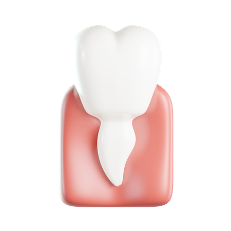 Premolar 3D Illustration