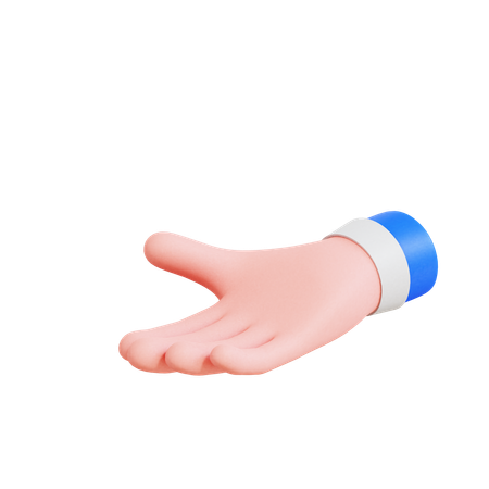 Présentation de la main  3D Icon