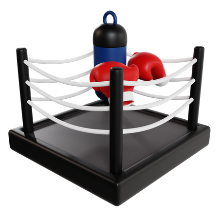 Présentoir miniature pour ring de boxe  3D Icon