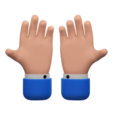 Prey Hands Gesture  3D Icon