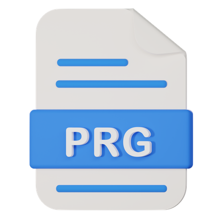 Prg File  3D Icon